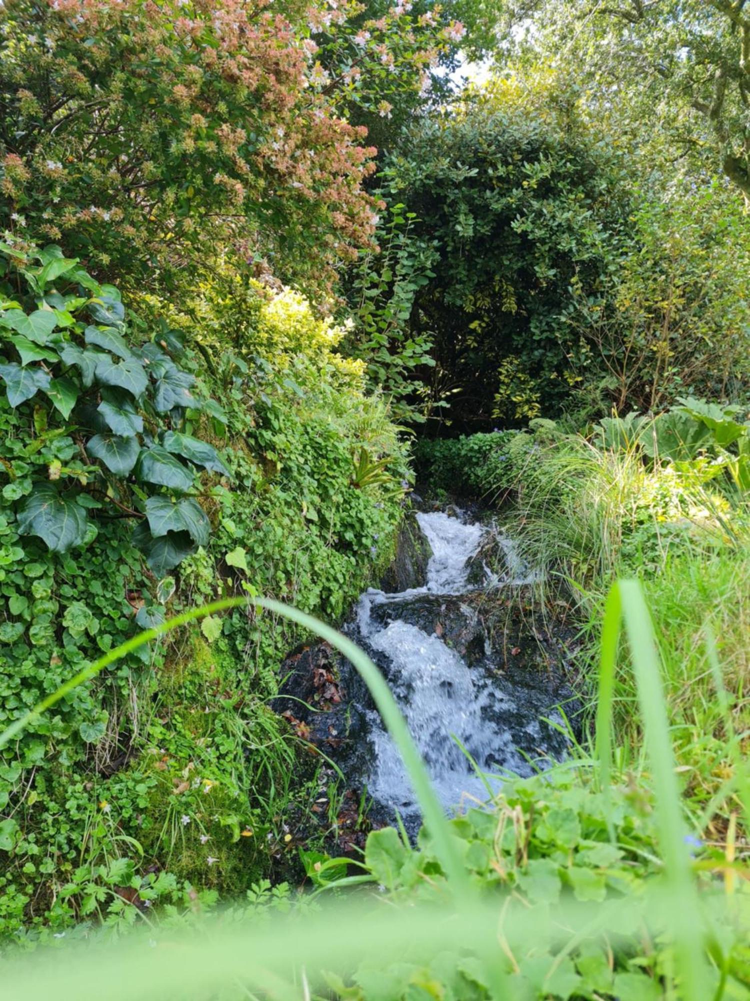 Moulin De Bonnescat Villa Plogonnec Eksteriør bilde